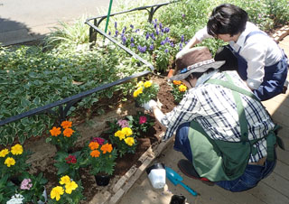 地域緑化の様子