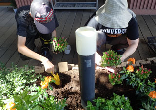 地域緑化の様子