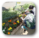 地域緑化推進事業